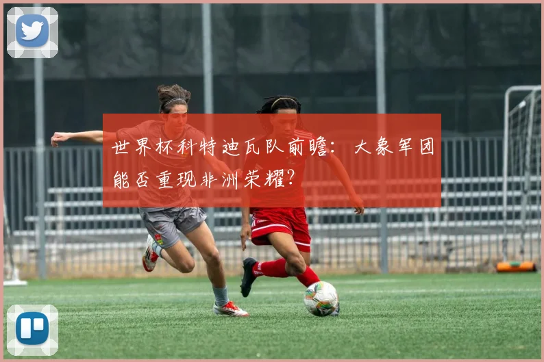 世界杯科特迪瓦队前瞻:大象军团能否重现非洲荣耀?